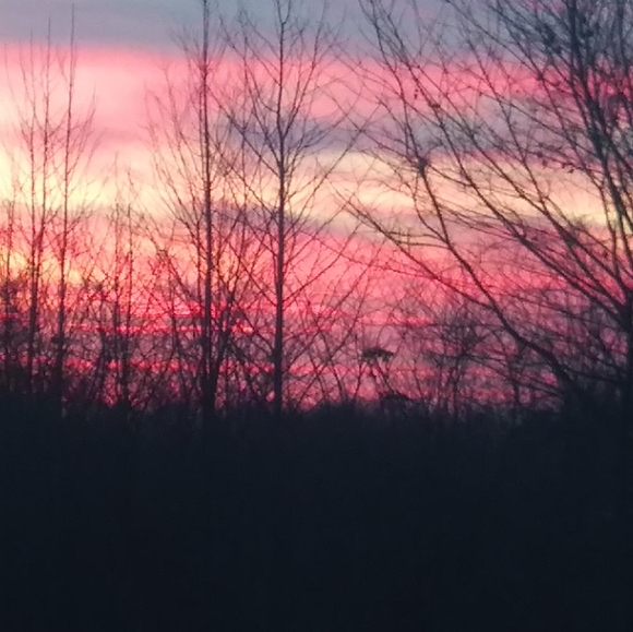 Meet your Posher, Rebecca - Picture 4 of 4